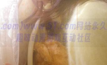 www.51.com网站永久直达趣味动漫游戏互动社区