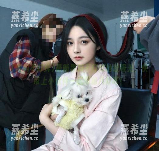 最新黑料不打烊地址曝光，快带上小伙伴一起探秘八卦吧！