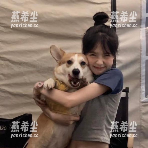 黑料吃瓜网axiOS导航操作指南及实用技巧