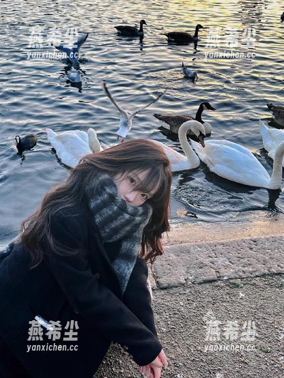 “黑料社app下载”：让我在娱乐圈中永不迷路，轻松吃瓜，不怕被拉黑！