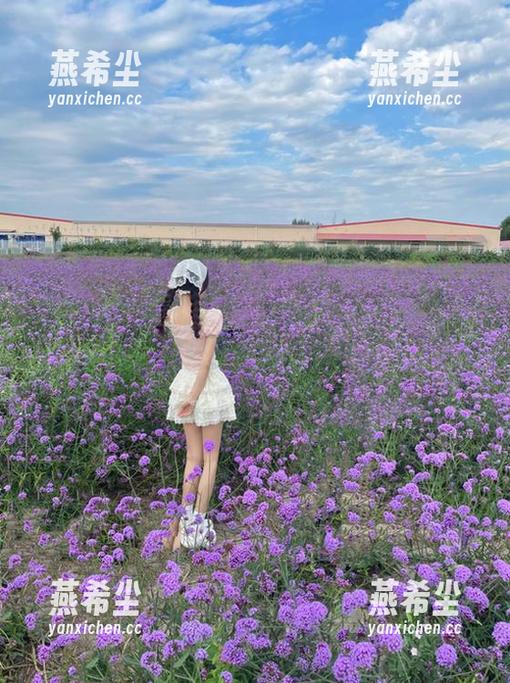 永不迷路，掌握黑料网app下载的乐趣，尽情享受全民吃瓜的快乐！