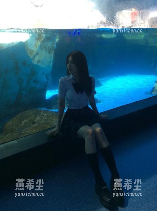 精彩尽在黑料网在线苹果版，全新首页设计助你轻松掌握最新八卦资讯！